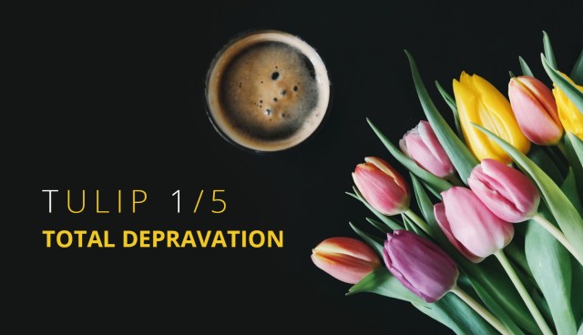 tulip - depravação total