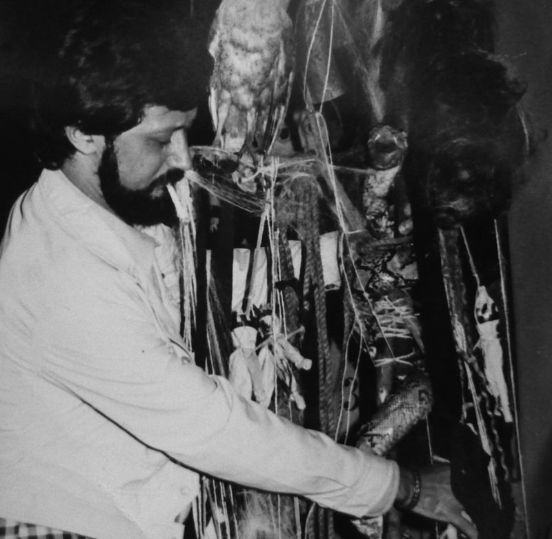 fernando grecco campinas 02