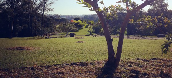 imobilidade-reflexao